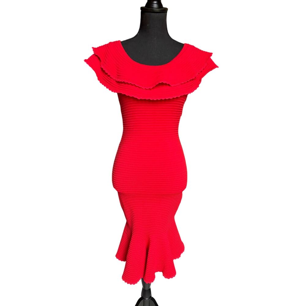 NWT Milly Textured Flounce Dress (Poppy) - P
